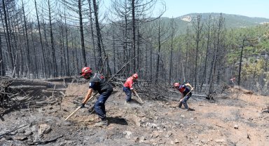 Bursa'da orman yangınlarına OSAD'dan koordineli müdahale