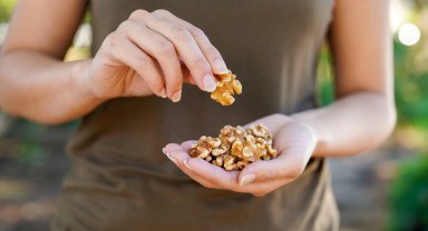 Ceviz gibi Omega-3 kaynakları, çocuk ve ergenlerde beyin gelişimiyle ilişkilendirildi