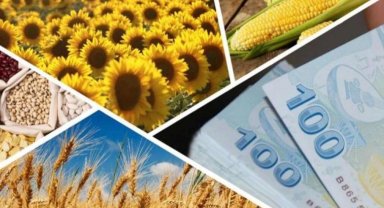 Çiftçilere 1,7 milyar TL'lik destek ödemesi hesaplarda