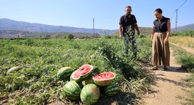 Efes Selçuk'ta karpuz tarlasında umut filizlendi! Üretici çaresiz, belediye destekte