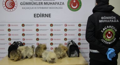 Gümrüklerde yılın ilk yarısında 35,5 milyar TL'lik kaçak eşya yakalandı... Gümrüklerde yakalamalar yüzde 199 arttı