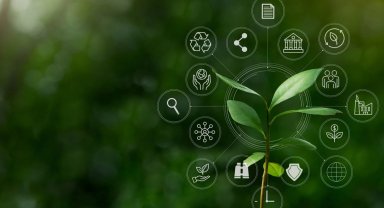 İklim Kanunu 'Resmi'leşti... İklim değişikliğiyle mücadelede yeni dönem