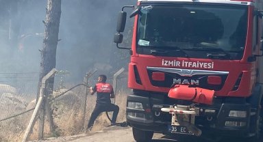 İzmir Bergama'da orman yangınına müdahale ediliyor