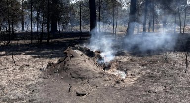 İzmir Bergama'daki orman yangını kontrol altında