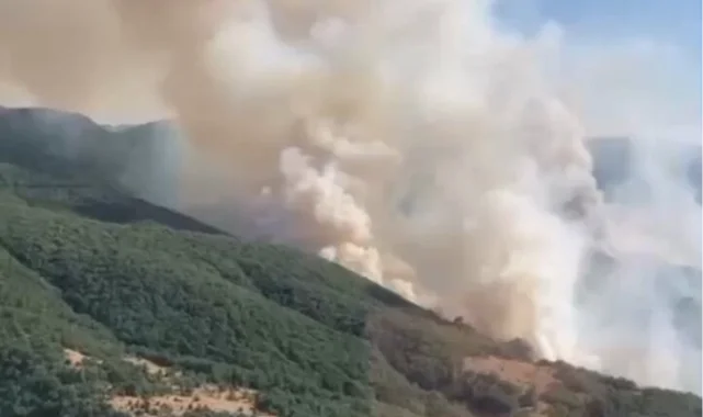 İzmir Bergama'daki yangın kontrol altında... Bilecik ve Sakarya'da müdahale sürüyor