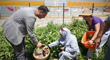 İzmir'de Kent Bostanları'nın sayısı 5'e çıkıyor