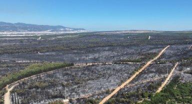 İzmir'de yangınlara karşı olağanüstü yol haritası belirlendi