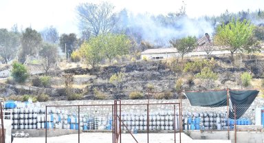 İzmir'in iki ilçesinde yangınlar kontrol altında