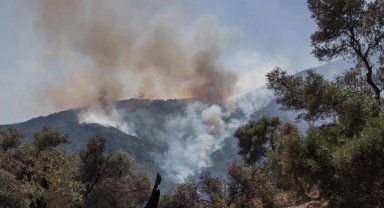 İzmir'in orman yangını risk haritası hazır