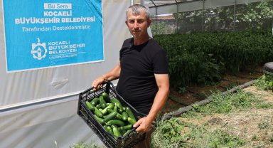 Kocaeli'de modern seralarda hasat bereketi