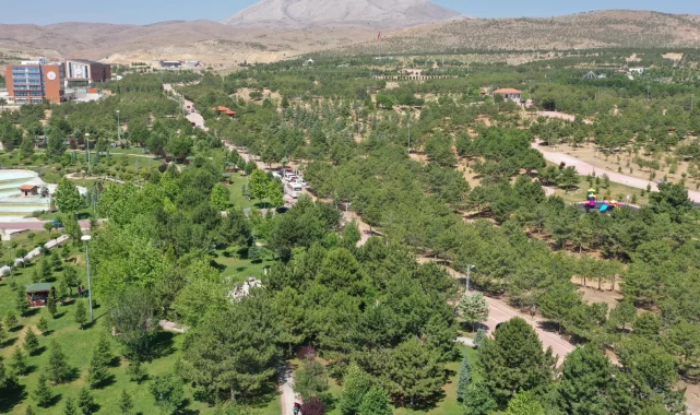 Konya Dutlu Millet Bahçesi'nde ateşli piknik yasaklandı