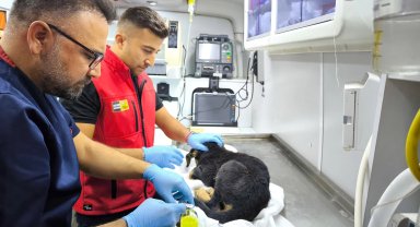 Konya İtfaiyesi'nden yürekleri ısıtan kurtarma operasyonu