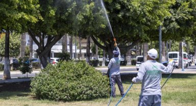 Mersin'de ilaçlama çalışmaları sürüyor