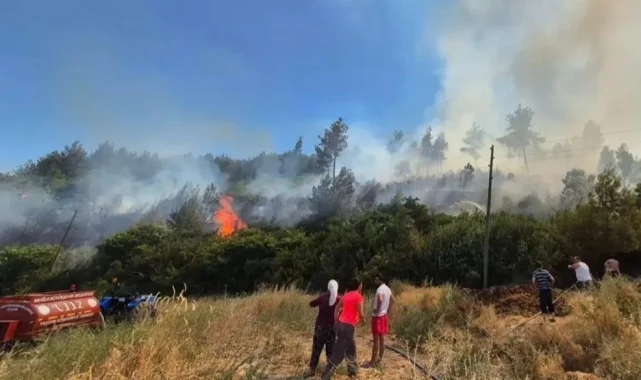 Muğla'nın yangın tankerleri aktif görevde