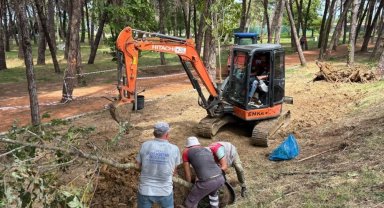 Ordu Ünye Çamlık'ta doğa yenileniyor