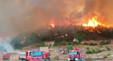 Orman'da 10 acı kayıp! 7 yangın sürüyor!