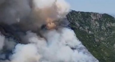 Sakarya Geyve'de orman yangınına yoğun müdahale