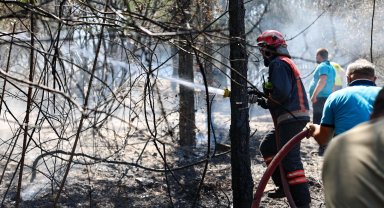 Sakarya İtfaiyesi yangın bölgelerinde tüm gücüyle müdahalede