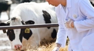 Tarım-GFE'de Mayıs verileri açıklandı... Veteriner harcamaları yine başı çekiyor