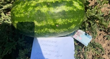 Tarlaya 100 TL ve özür notu bıraktı!