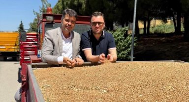 TMO 25 bin ton buğday aldı