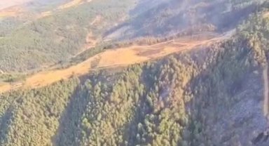 Uşak ve Bilecik'te yangınlar kontrol altında... Sakarya Geyve'de mücadele sürüyor