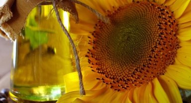 Yağlık ayçiçeği tohumu ve ham yağ ithalatına kontenjan açıldı