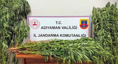 Adıyaman'da uyuşturucu operasyonu: 9 gözaltı