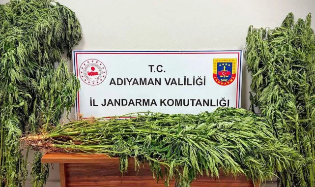 Adıyaman'da uyuşturucu operasyonu: 9 gözaltı