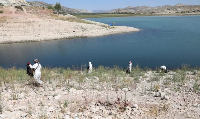 Altınapa Baraj Gölü çevresinde temizlik çalışması yaptı
