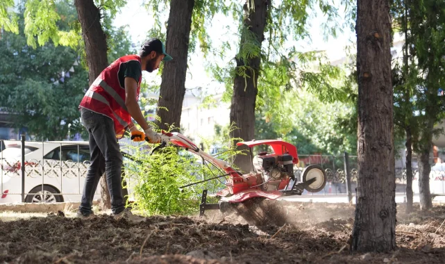 Ankara Keçiören'de park ve bahçelere estetik dokunuş