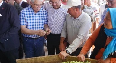 Balıkesir Ayvalık'ta çiftçilere özel destek