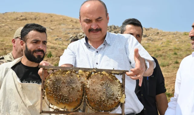 Batman Sason'da bal hasadı coşkusu