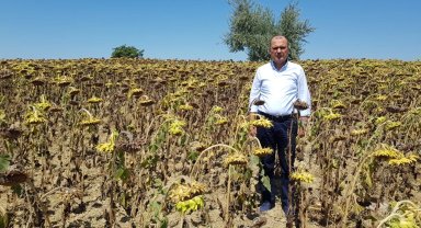 CHP Tekirdağ Milletvekili Aygun'dan kuraklık için yasa teklifi