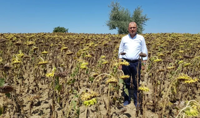 CHP Tekirdağ Milletvekili Aygun'dan kuraklık için yasa teklifi
