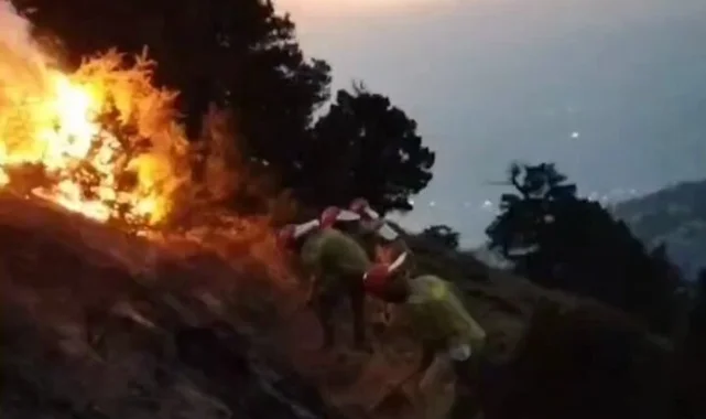 Denizli Pamukkale'deki orman yangını büyük ölçüde kontrol altında