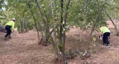 Düzce'de 81 yaşındaki kayıp kadın aranıyor