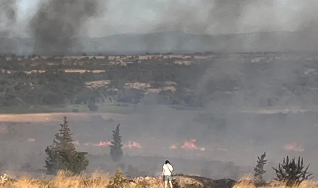 Enez'de orman yangını paniği... Gülçavuş sahili boşaltılıyor