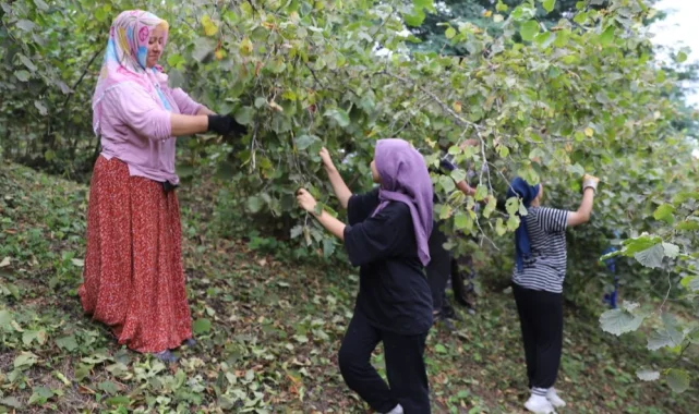 'Fındık Dalda Aklın İşçide Kalmasın' projesi 6. yılında
