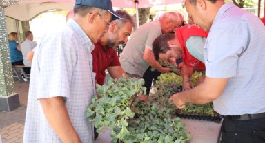 İzmit'te başlayan fide desteği, Gebze köylerine ulaştı
