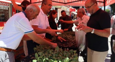 İzmit'ten vatandaşlara fide hediyesi