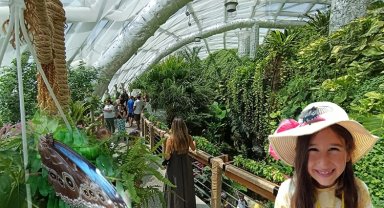 Konya'nın tropikal bahçesi ziyaretçileri büyülüyor