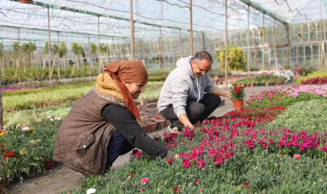 Muğla'da kadın emeğiyle çiçek devrimi... 27 milyon çiçek, 23 milyon tasarruf