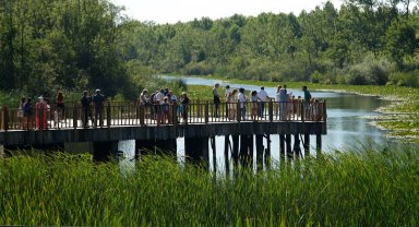 Acarlar Longozu yaz sezonunda 150 bini aşkın ziyaretçiyi ağırladı