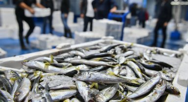 Ankara'da balık sezonu başladı, denetimler sıklaştı