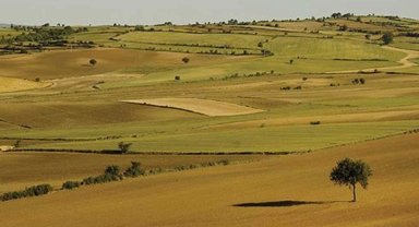 Atıl arazileri bulunan arazi sahipleri dikkat! Son gün 15 Ekim