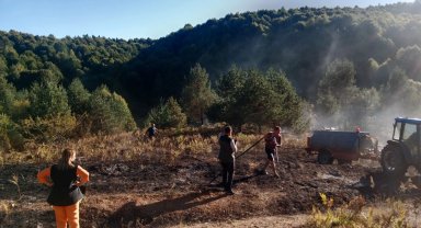 Bilecik Pazaryeri'nde alevler ormana ulaşmadan söndürüldü