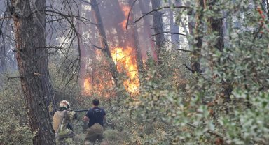 Bursa Büyükşehir'den Gündoğdu yangını seferberliği