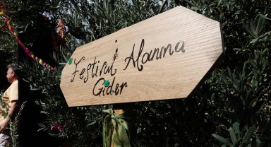 Bursa Gemlik Zeytini'nde uluslararası coşku