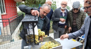 Bursa İnegöl'den üzüm hasadını kolaylaştıran destek